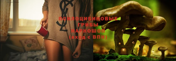 спайс Алексеевка
