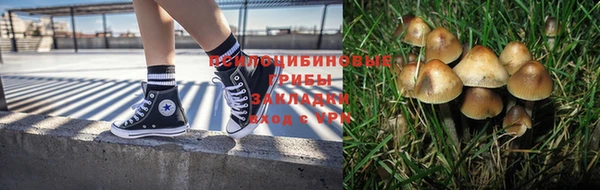 спайс Алексеевка