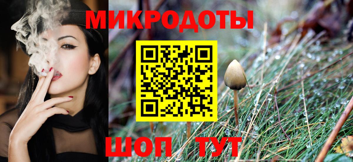 Прохладный  Псилоцибиновые грибы ЛСД  Вход с VPN  Галлюциногенные грибы Psilocybe 